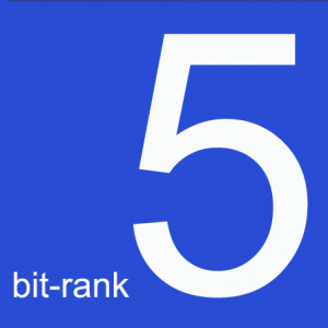 Bit-Rank offers 5 keyword term SEO service.